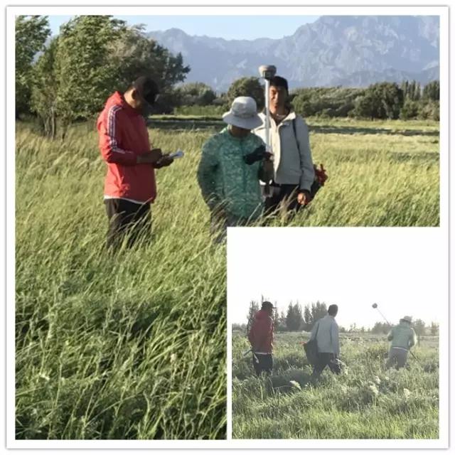 微信圖片_20170718142556.jpg