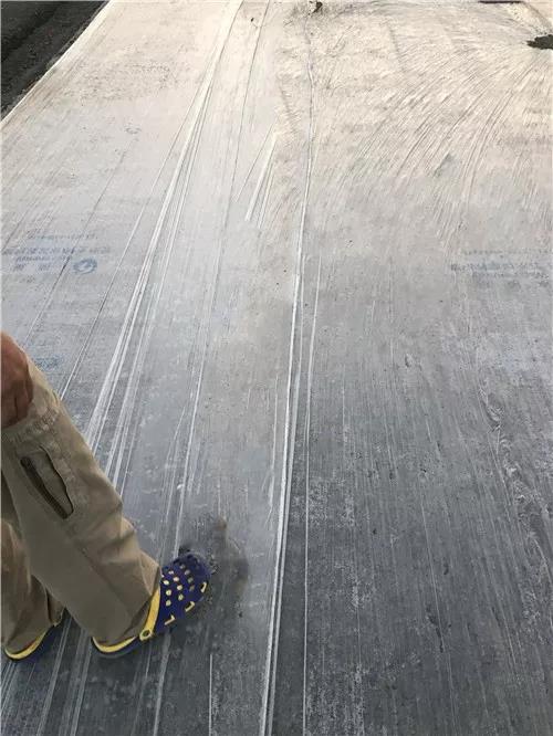 微信圖片_20181226121939.jpg
