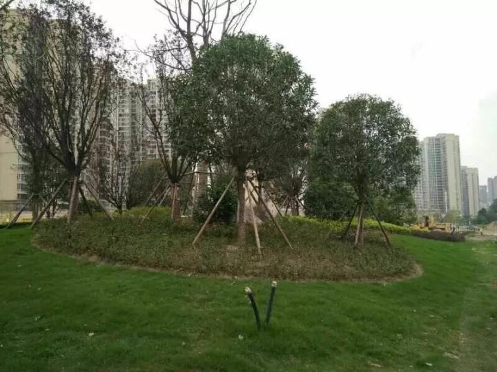 微信圖片_20170927100523.jpg